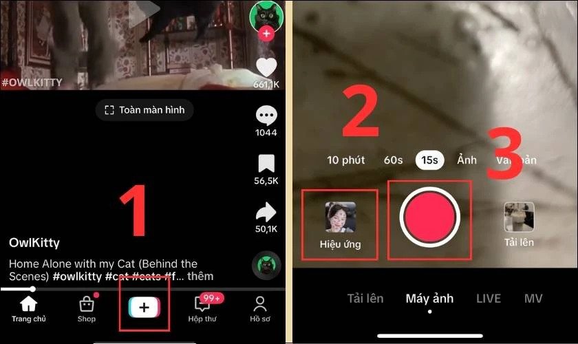 Quy trình thực hiện ảnh chụp màn hình từ video TikTok