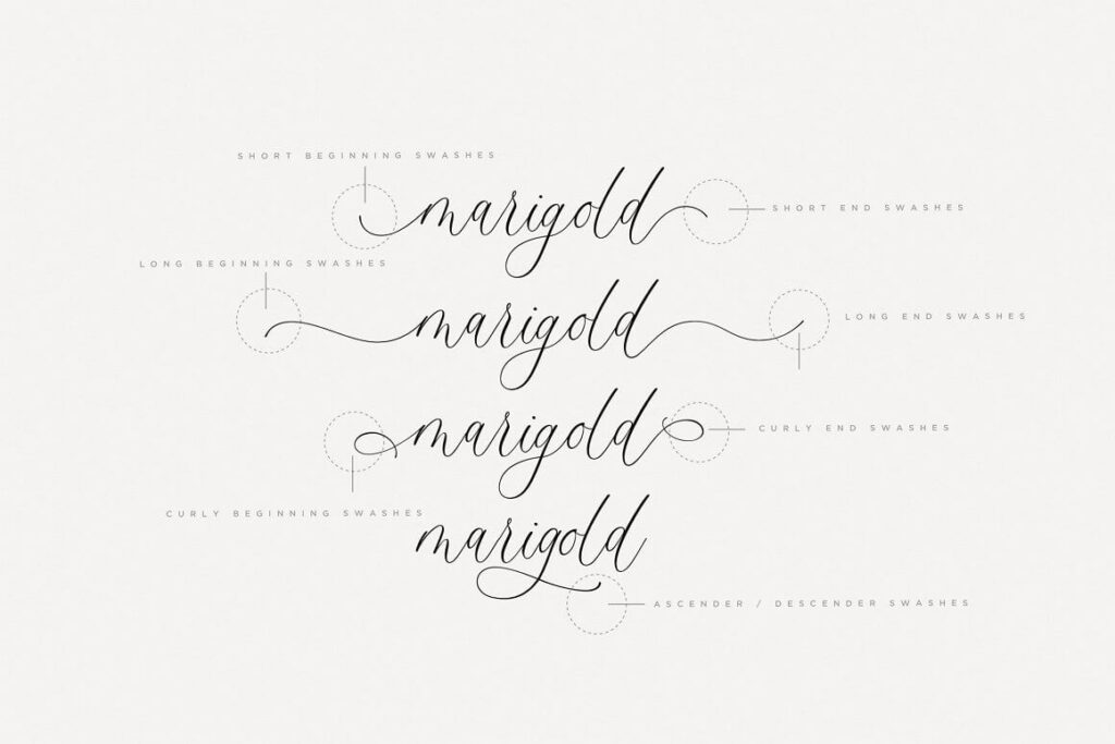 Kiểu chữ viết tay (Script): Sự mềm mại và nghệ thuật