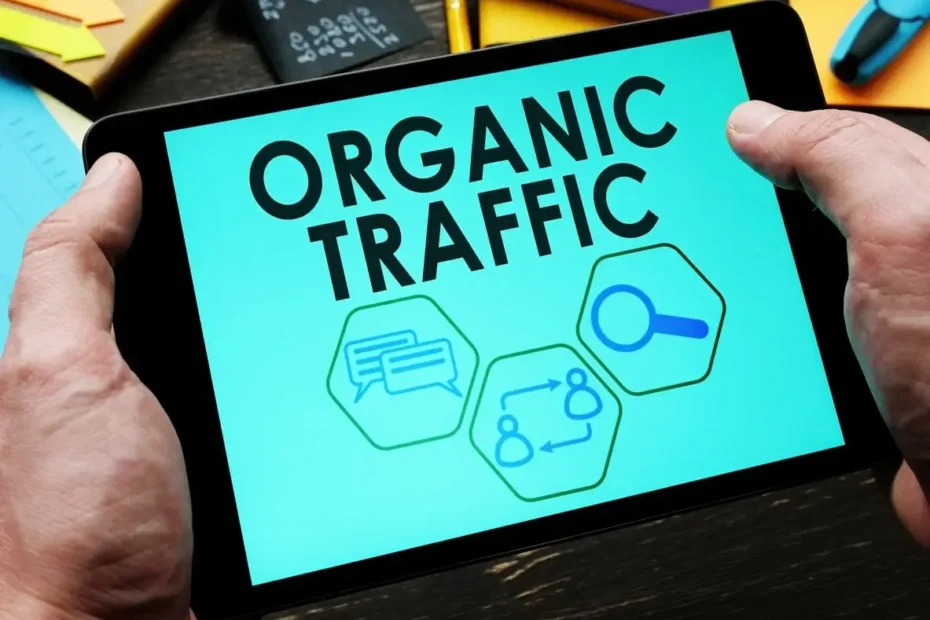 Vai trò chiến lược của Organic Search đối với doanh nghiệp