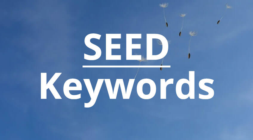 SEO từ khóa là gì và cách tối ưu hiệu quả nhất cho website 2 Từ khóa nền tảng (Seed Keywords)